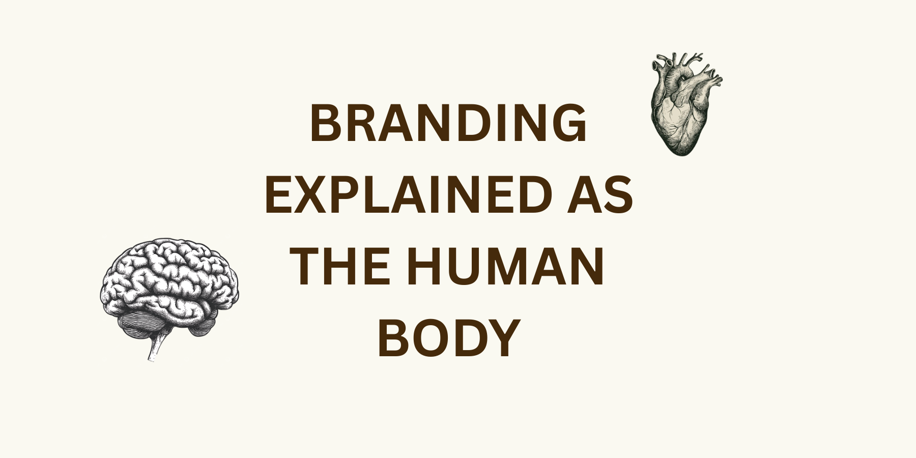 Branding Explained as a Human Body